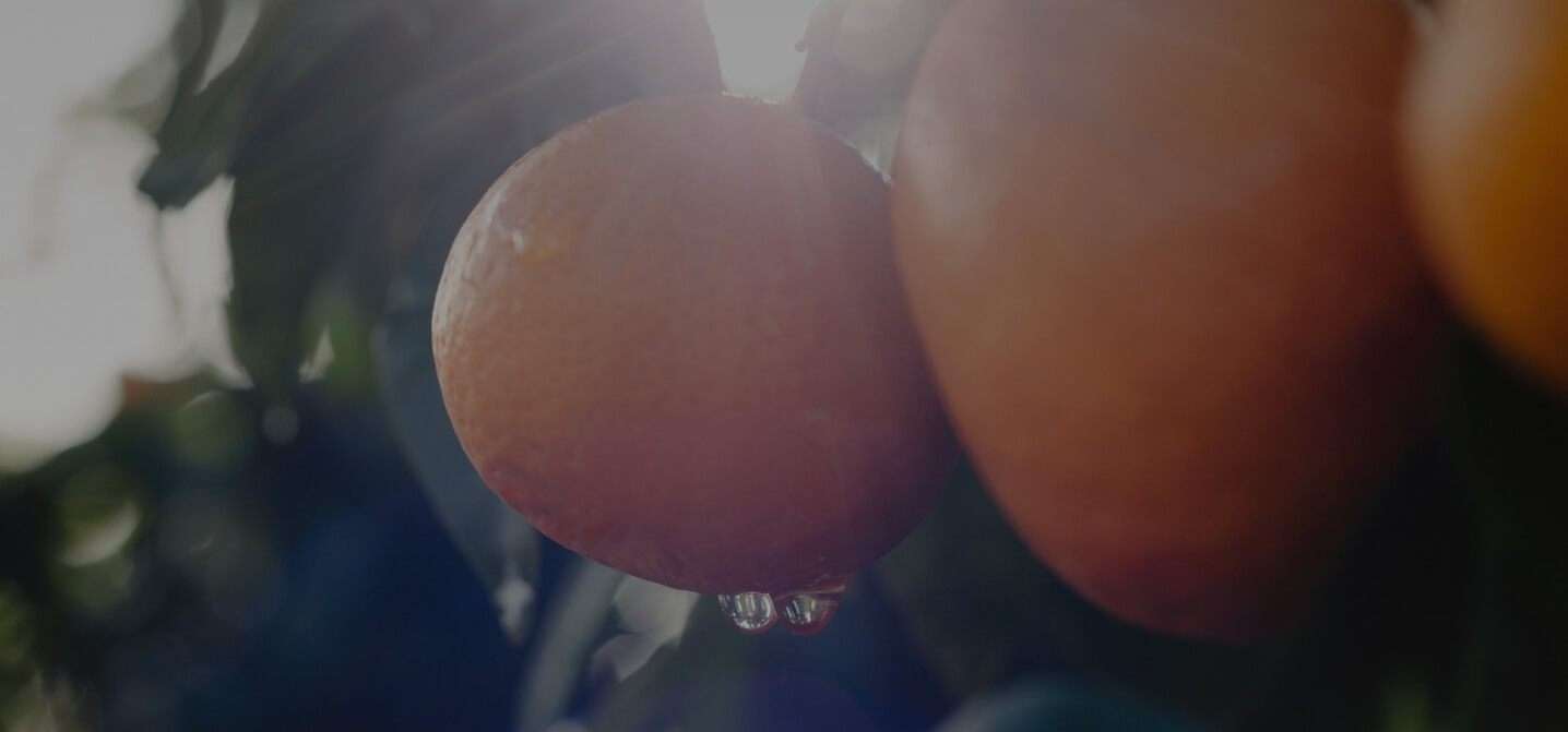 service-banner1